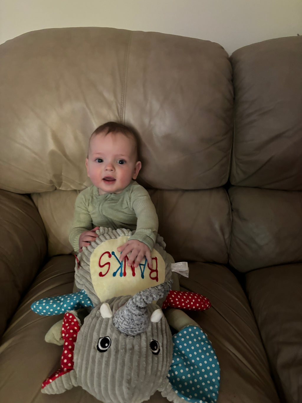 Cubbies Sensory Elephant Your Name Custom Embroidered