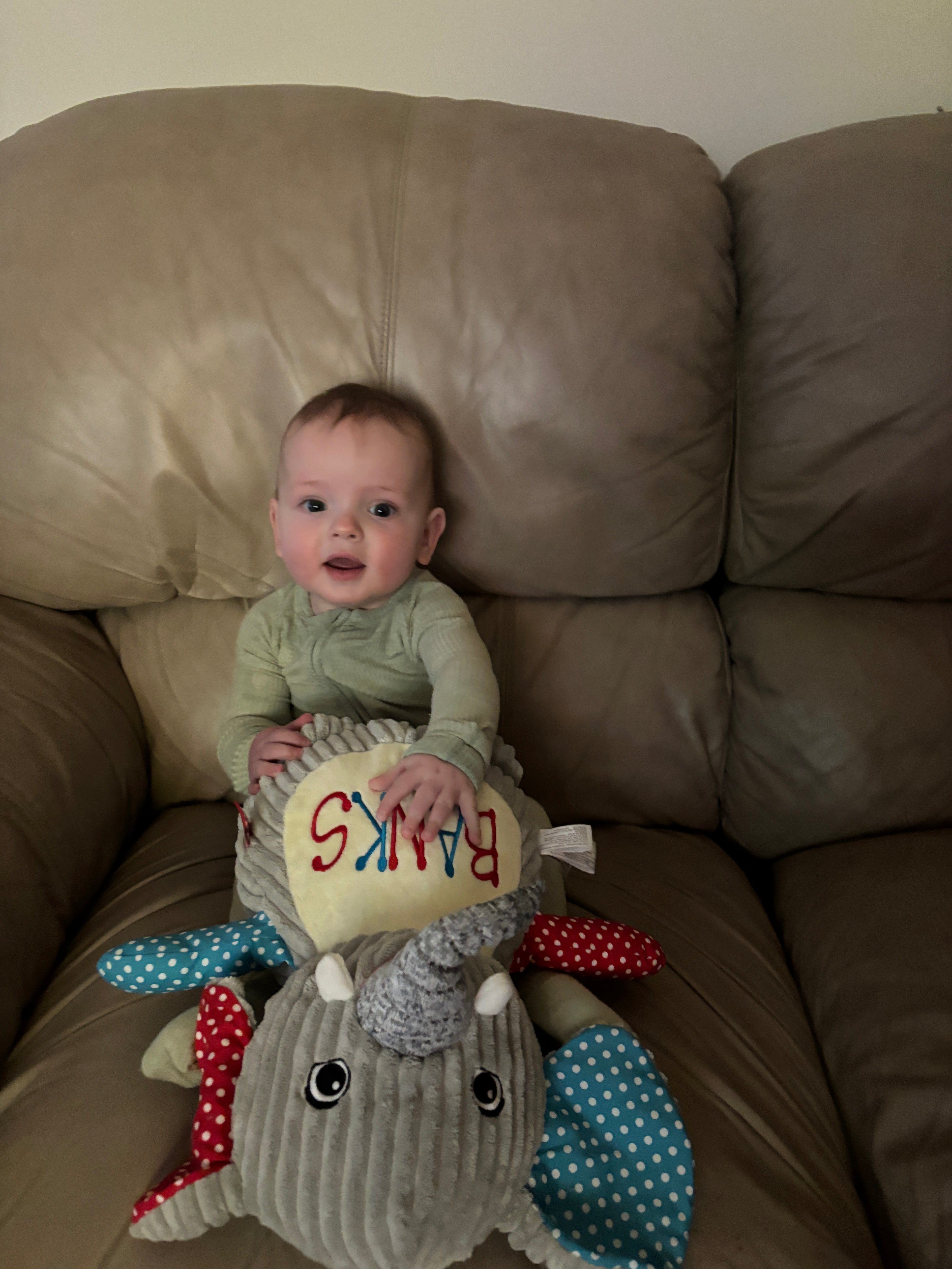 Cubbies Sensory Elephant Your Name Custom Embroidered