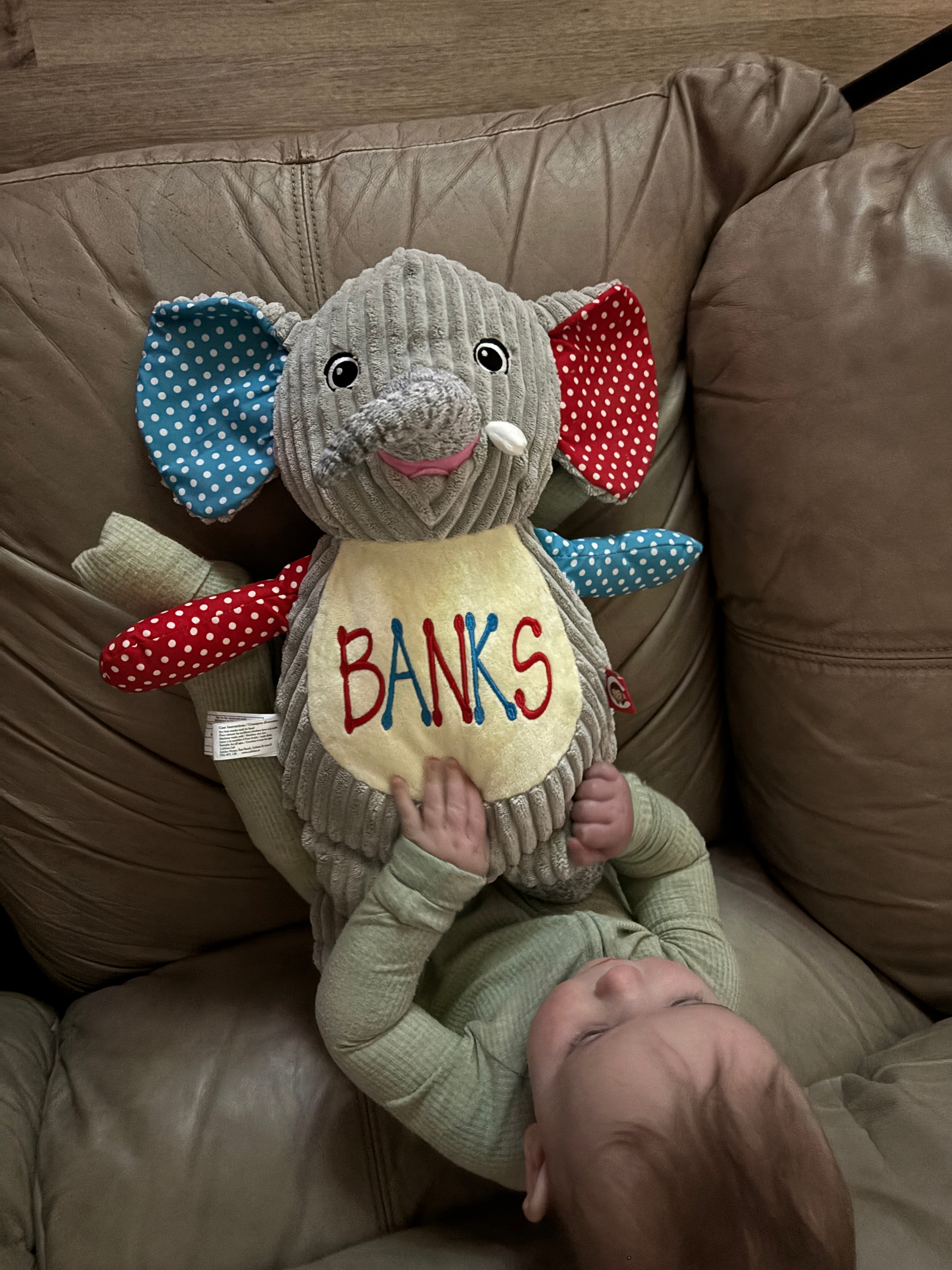 Cubbies Sensory Elephant Your Name Custom Embroidered